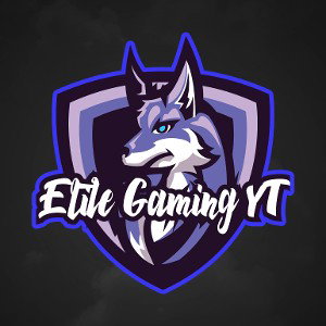 Elite Squad