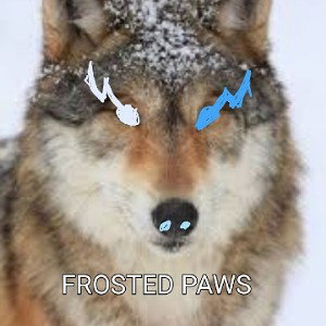 Frosted paws