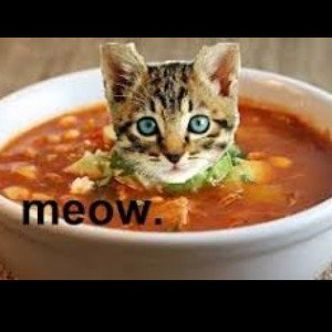 Soup Cats