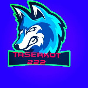 Taser_kot