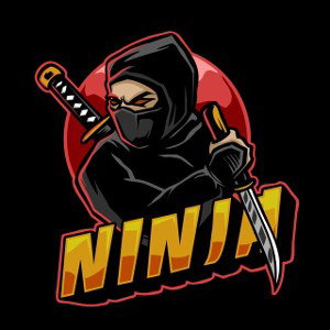 Ninja X