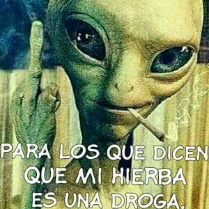 LosÁngeleszCaídosz