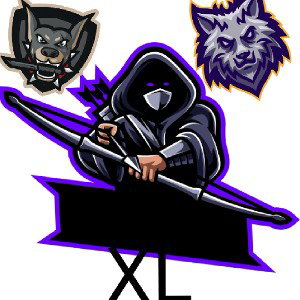 X FORCE
