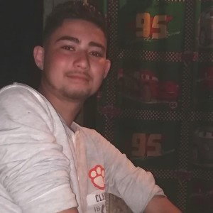  Los perros salvajes