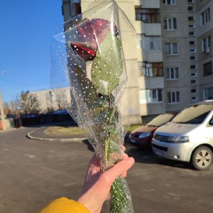 Рэп Харькова