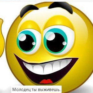 2012 бримба