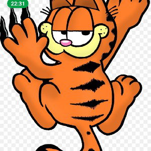 Garfield and friends