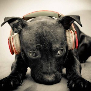 Musical World