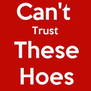 CANT TRUST THESE HOES 