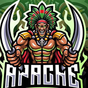 Lyrical Apache's