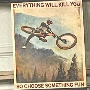 Efficient wizdom
