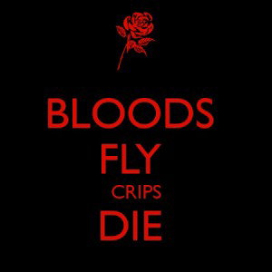 Bloodgang