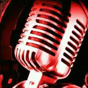 HIT_"em" records