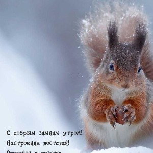 океанчики подчиненные