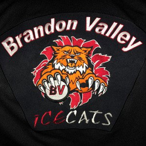 Brandon Valley Icecats