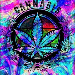 StonerCityPosse