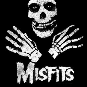 We are the misfits 
