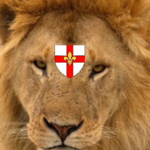 Lincoln Lions