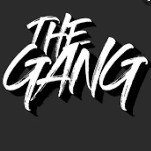 THE GANG co.