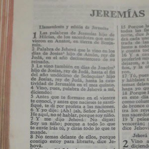 Losmensajeros