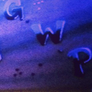 GhettoWolfPaKRECORDS