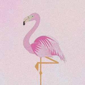Flamingo Club