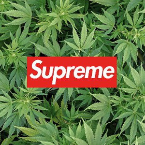 I fucking love weed