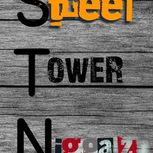 StreeTowerNiggaz