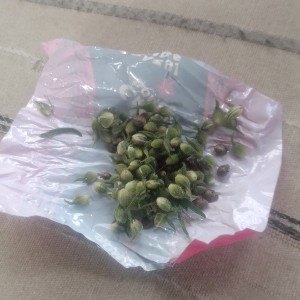 Рэп,хип хоп,