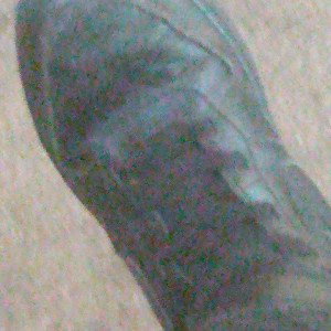 Black air forces crew gangtars