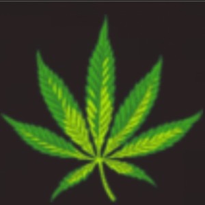 7 Leaf Clovers