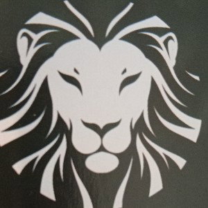 Bitcoinking4 