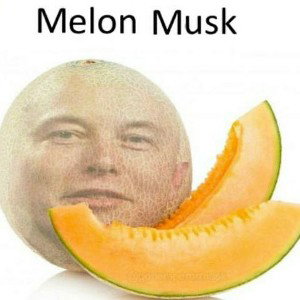 Melon-Musk-Marine