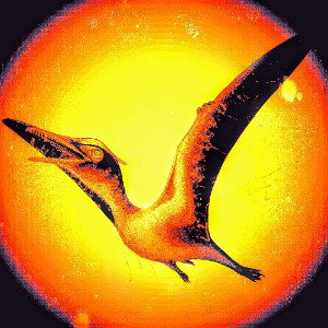 Aerodactylus click