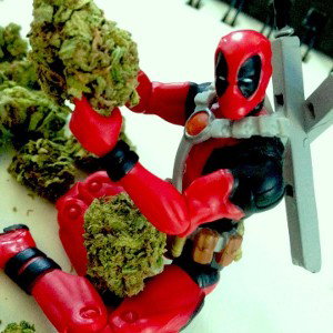 X-FORCE