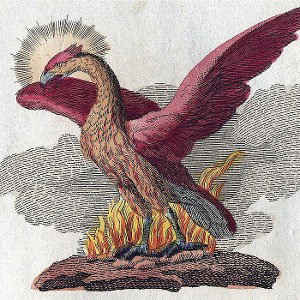 Phoenix Order