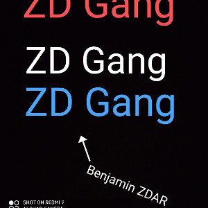 ZD gang