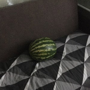 WATERMELON MUSIC