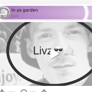Livz Da Firm 