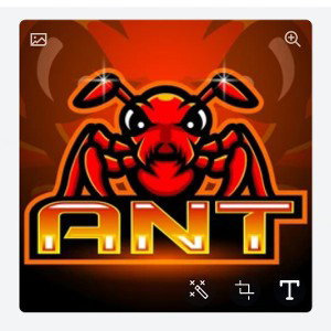 A.N.T Gang(all n tight)