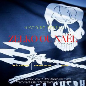 Zelkoofficiel 