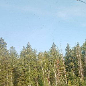 Кто-то идёт тому по лайку