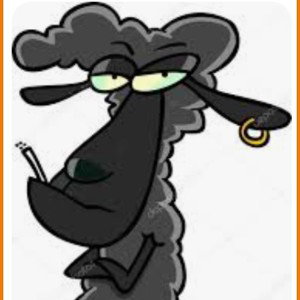 BLACK2SHEEP 