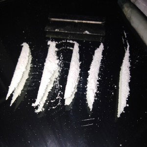 YAYO CARTEL