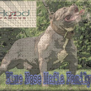 Hood Famous Entertainment