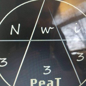 New world innovators (N.W.I)