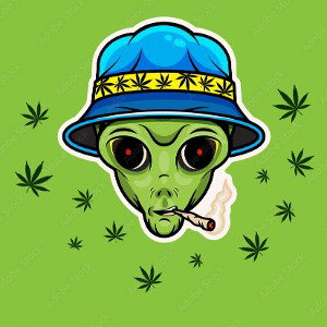 STONEY BOLONEY