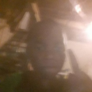 Sean19