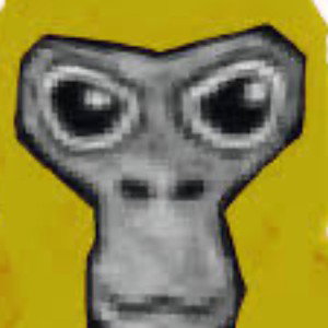 Gorlliacrew