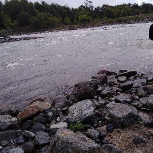 Bellakera